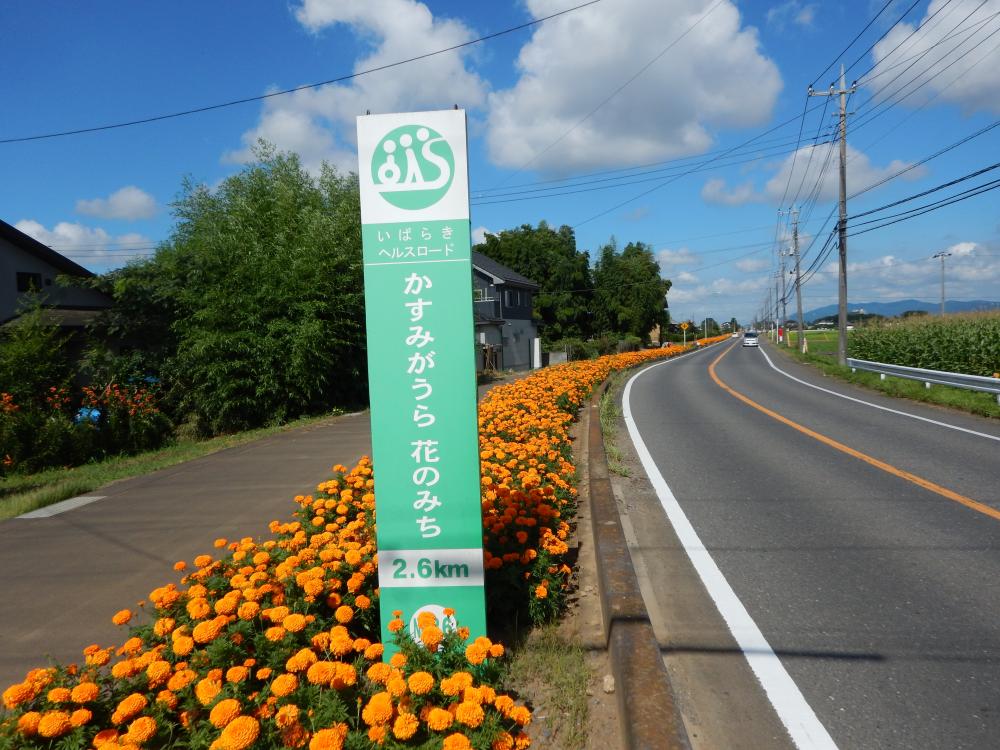 かすみがうら花のみちに関するページ