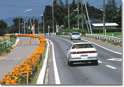 Flower Road of Kasumigaura