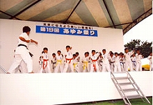 Karate demonstration