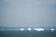 Photo All 9 cloth sailboats gathered at the Ayumizai shore of Kasumigaura
