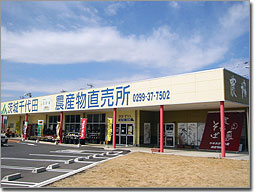 Kanoka (JA Ibaraki Chiyoda Store)