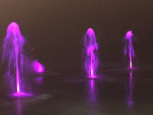 紫の噴水