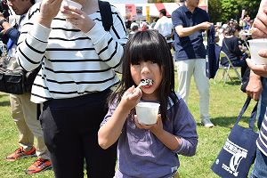 帆引き船フェスタ2018-会場風景(1)