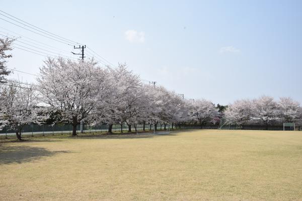 戸沢公園