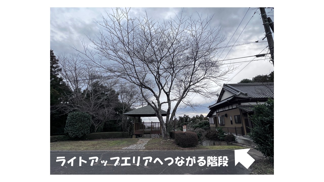 入口写真