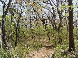 三ツ石森林公園