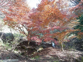 三ツ石森林公園