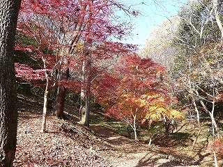 雪入ふれあいの里公園