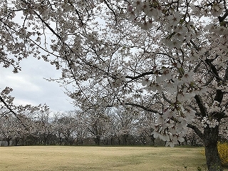 第二常陸野公園