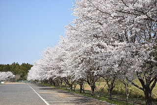 風景(自然)