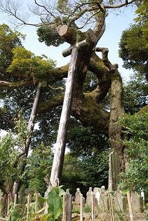 風景(自然)