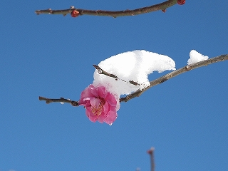 風景(自然)