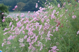 風景(自然)