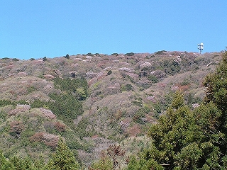 風景(自然)