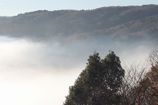 風景(自然)