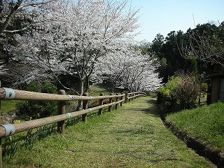 風景(自然)