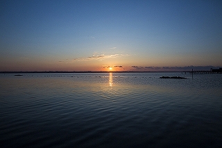 江口屋